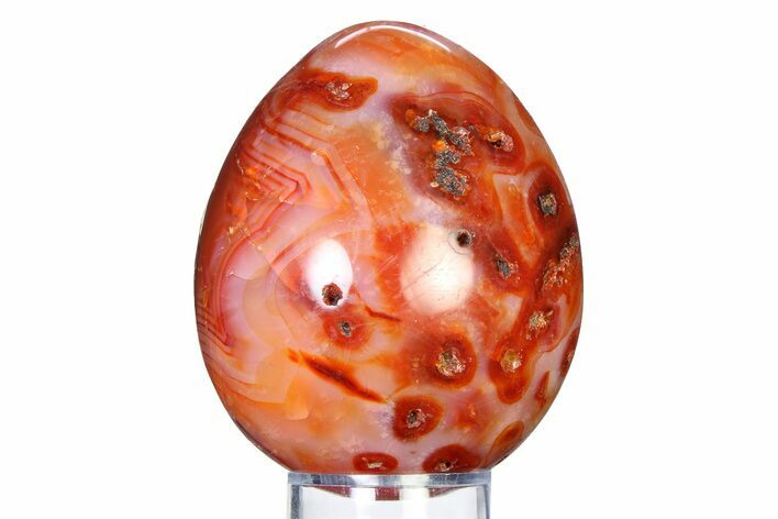 Vibrant Polished Carnelian Agate Egg - Madagascar #318282